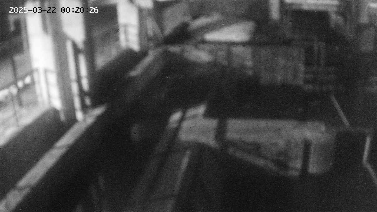 area2-20250322002026.jpg