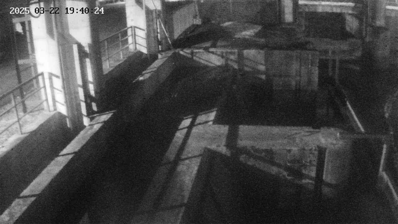 area2-20250322194025.jpg