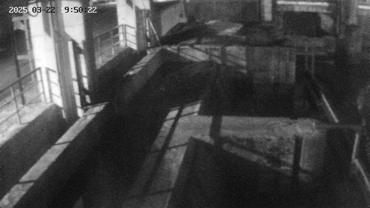 area2-20250322195023.jpg