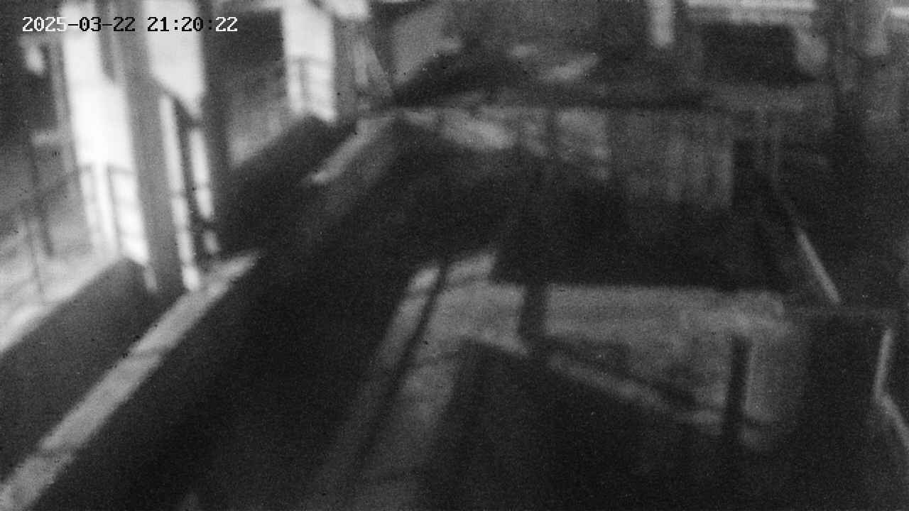 area2-20250322212023.jpg