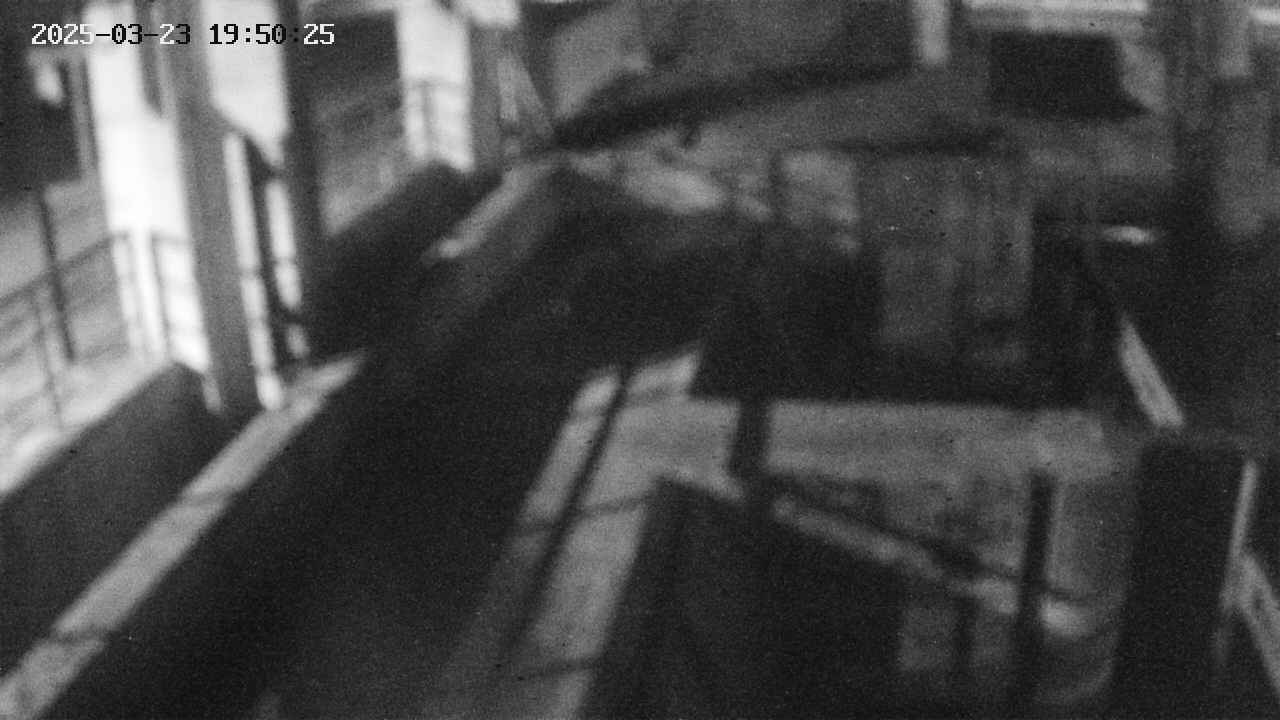 area2-20250323195025.jpg