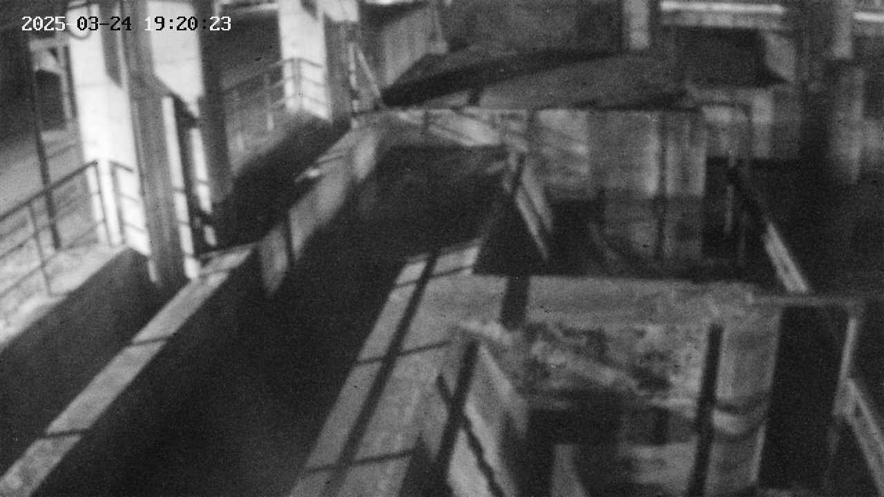 area2-20250324192024.jpg