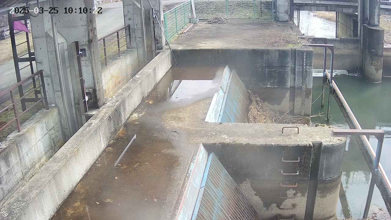 area2-20250325101024.jpg