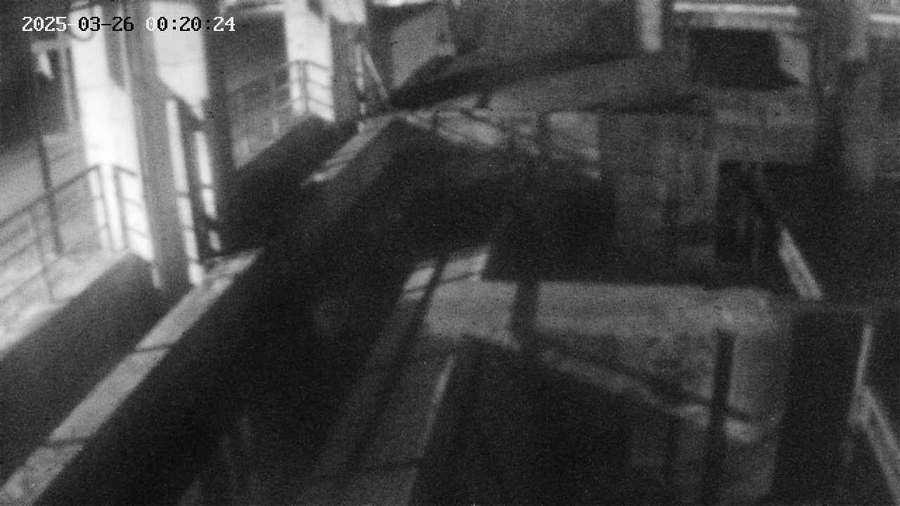 area2-20250326002025.jpg