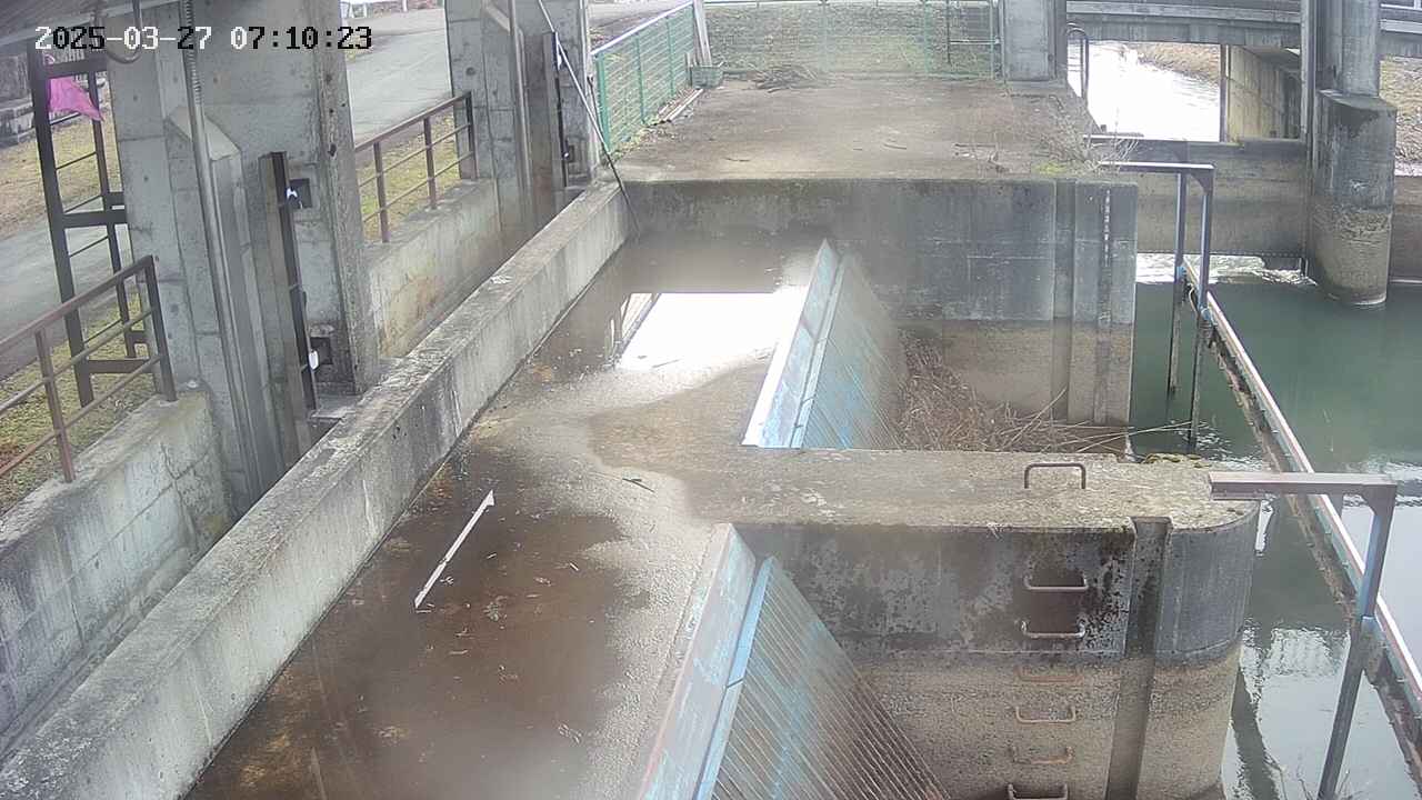 area2-20250327071025.jpg