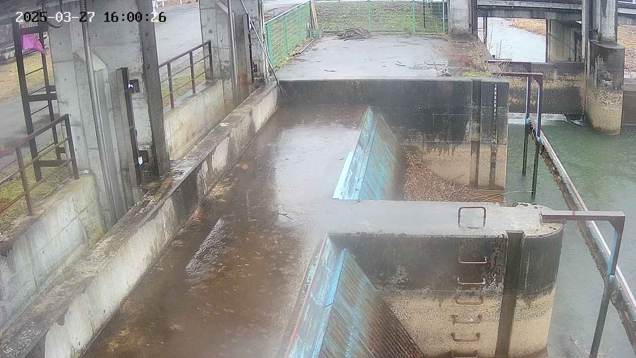 area2-20250327160028.jpg