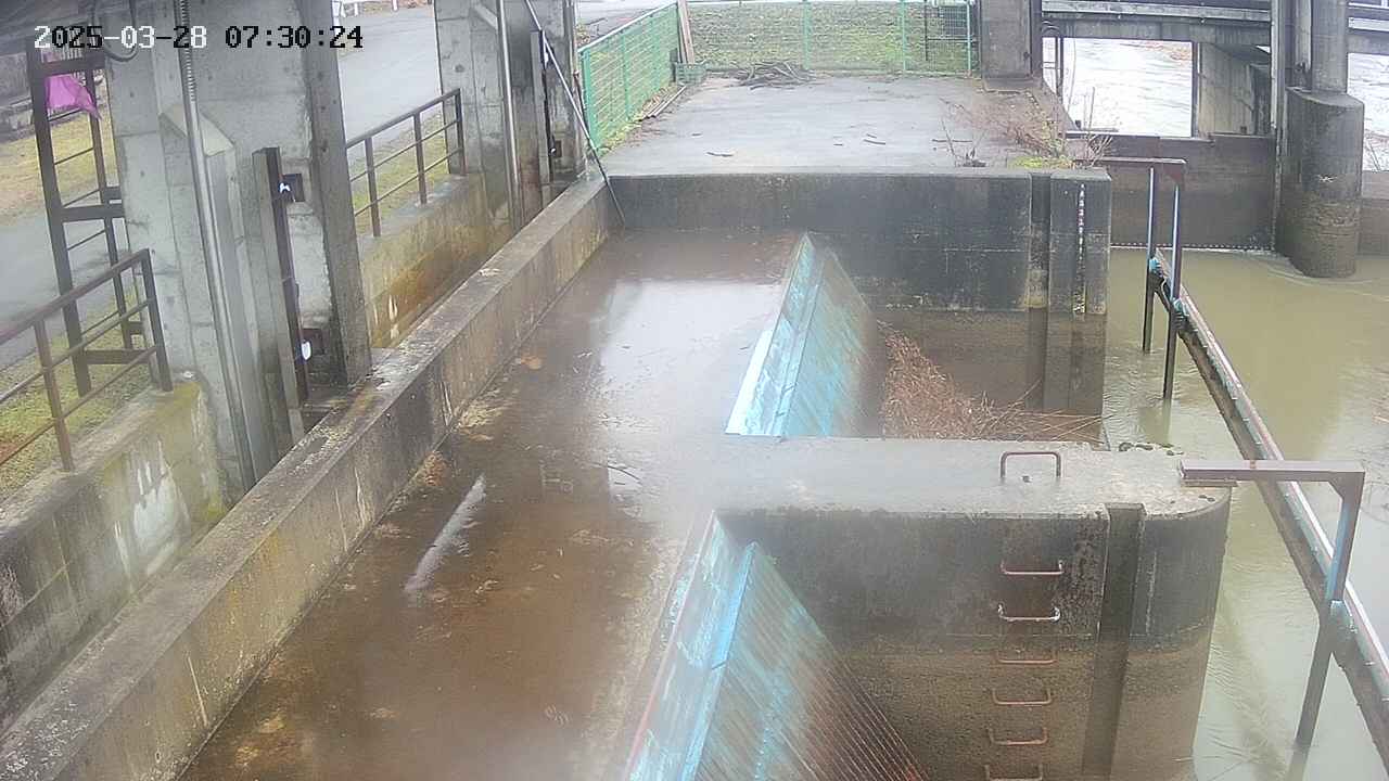 area2-20250328073025.jpg