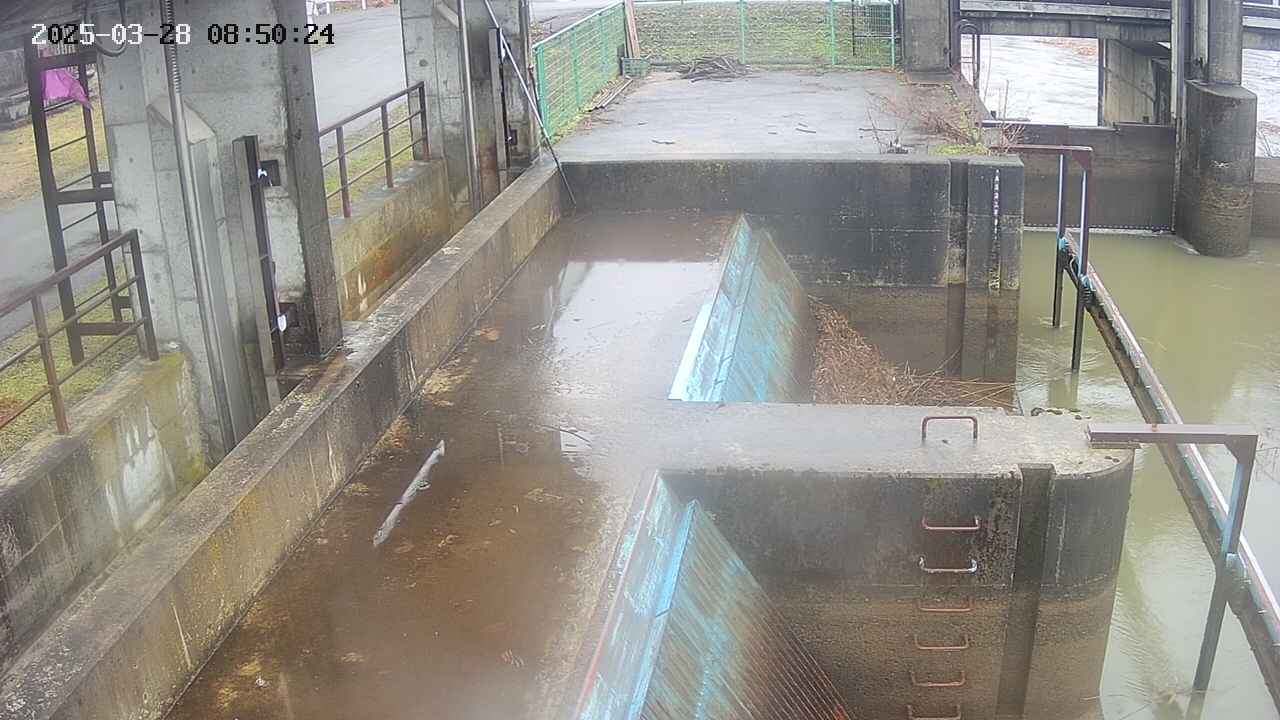 area2-20250328085025.jpg