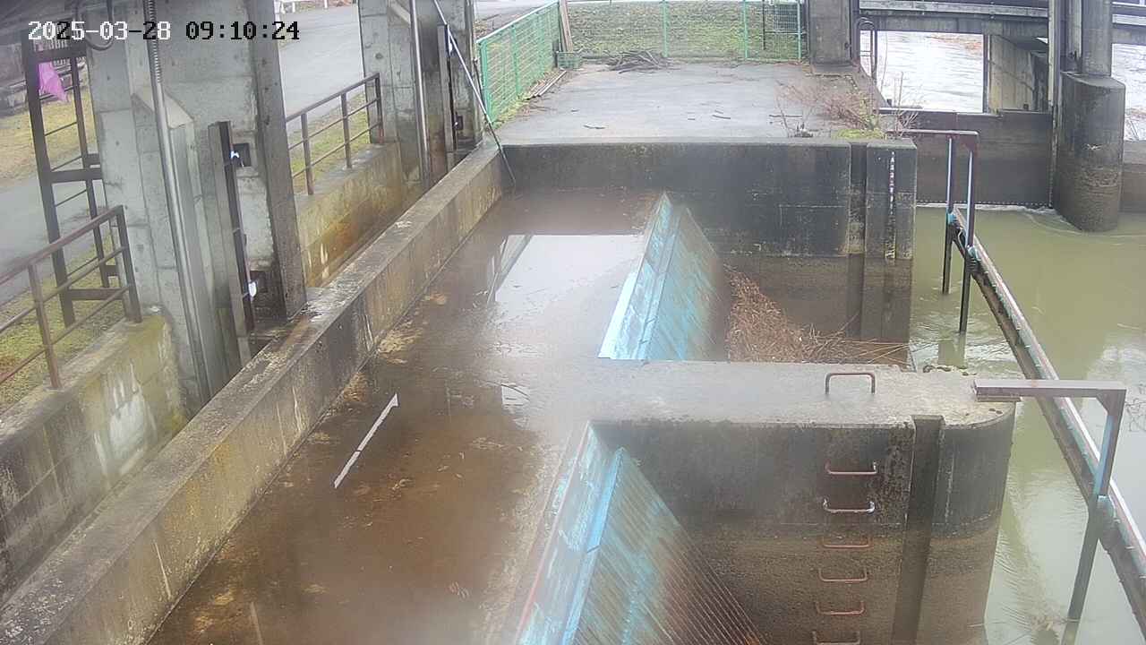 area2-20250328091025.jpg