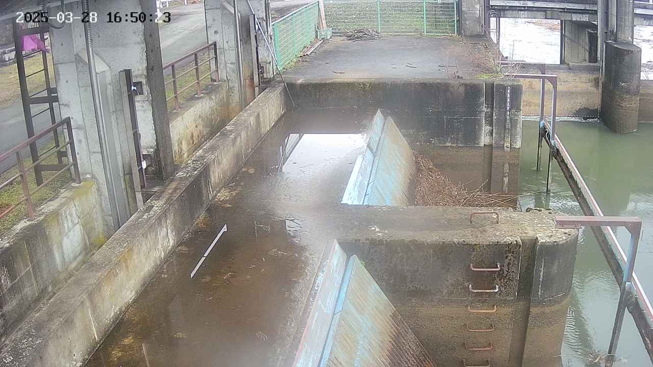 area2-20250328165024.jpg