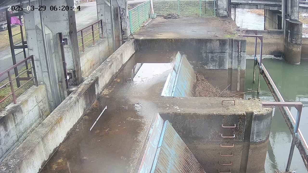 area2-20250329062025.jpg