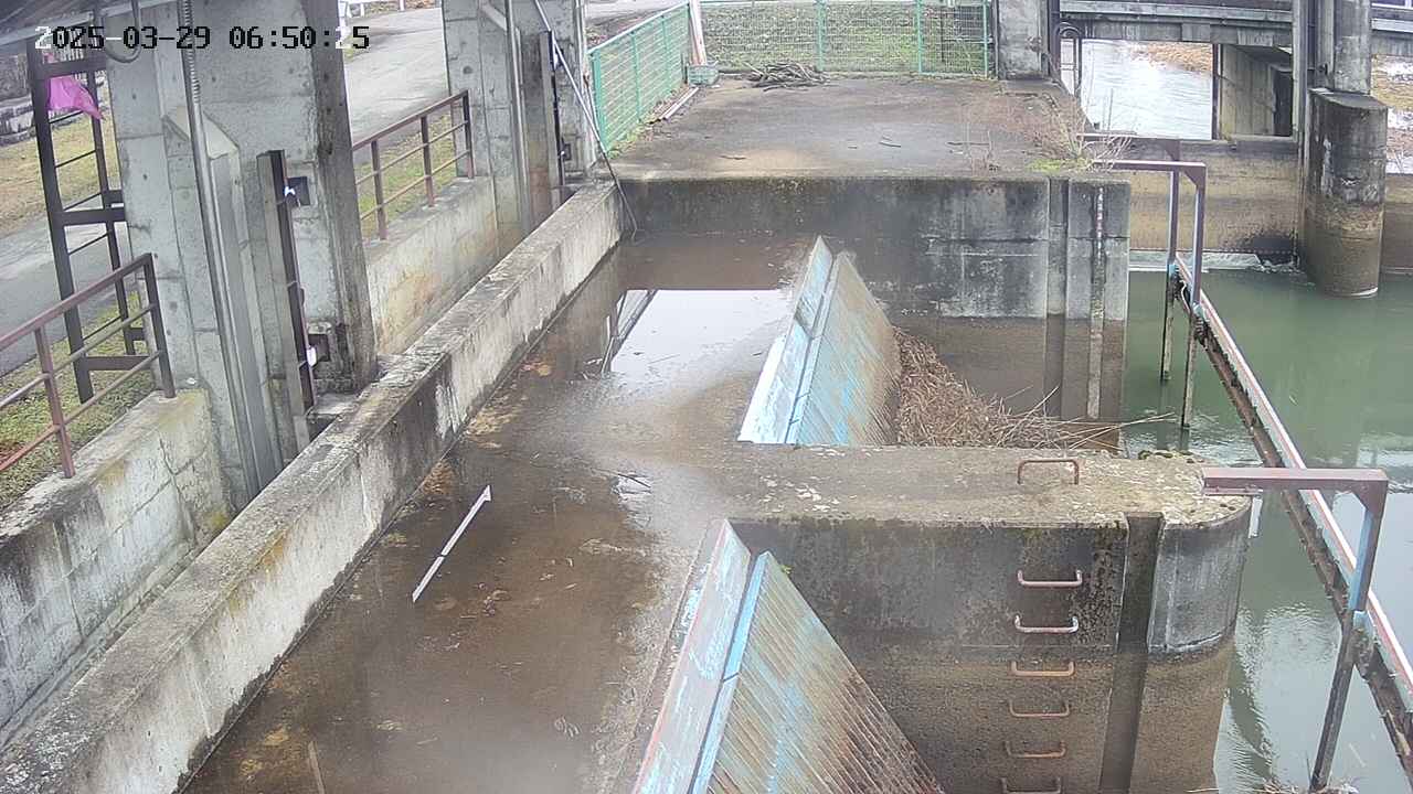 area2-20250329065026.jpg
