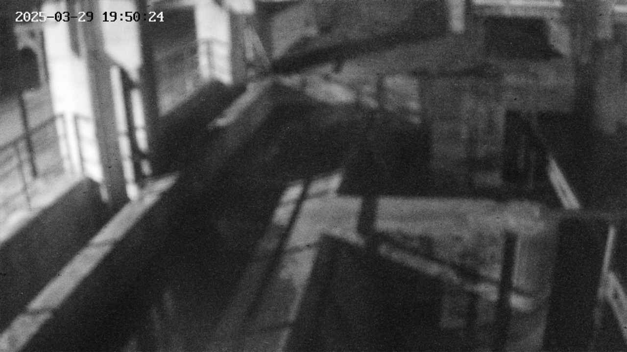 area2-20250329195025.jpg