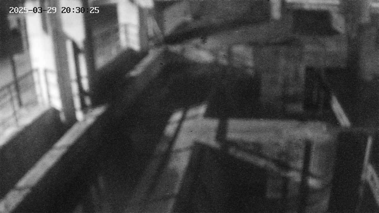 area2-20250329203026.jpg