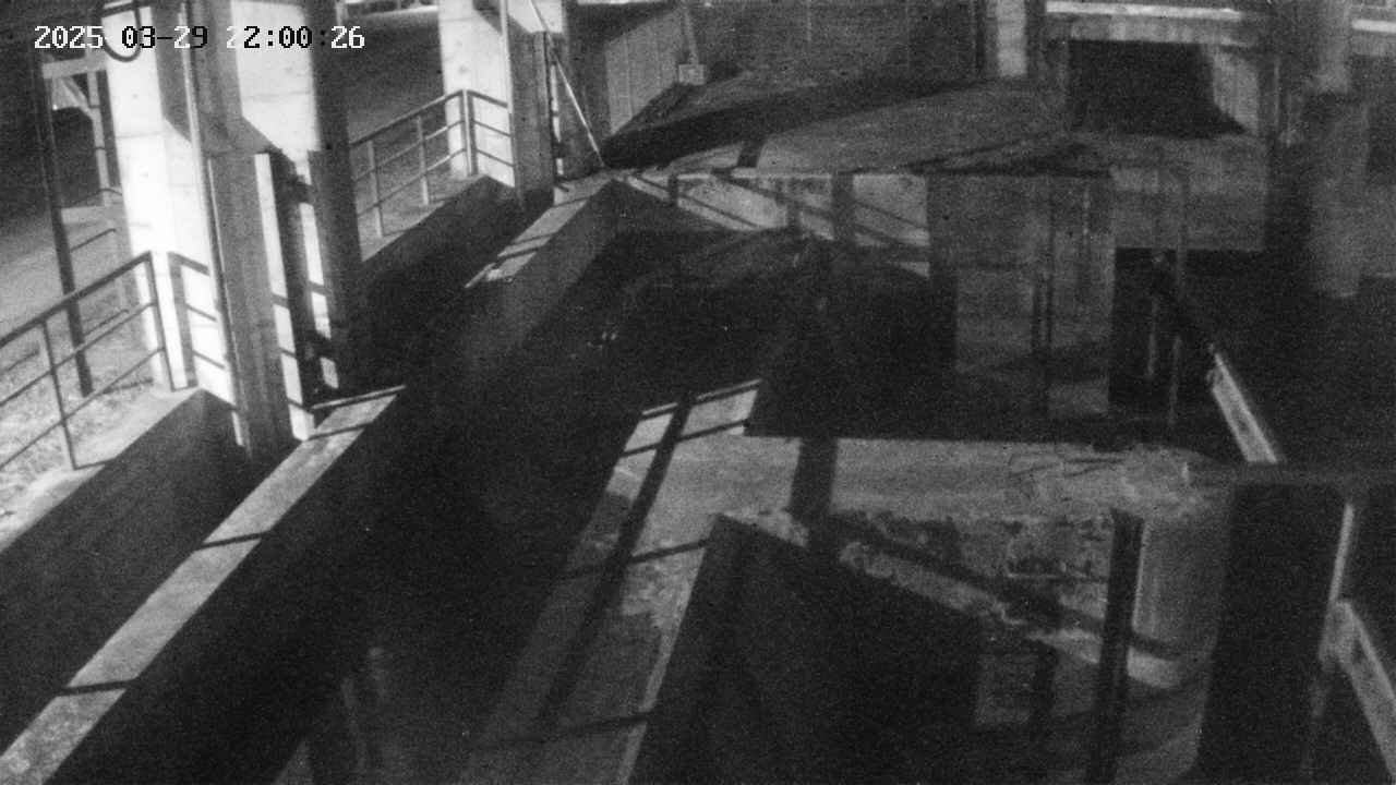 area2-20250329220026.jpg