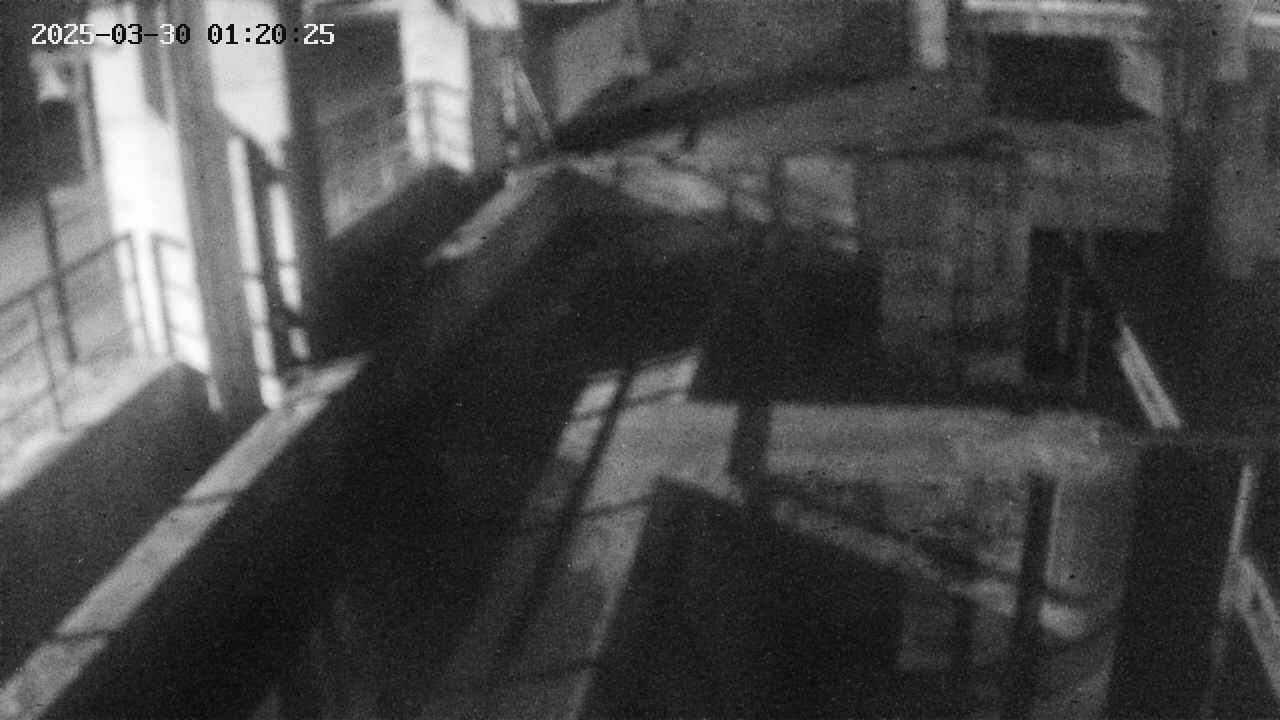 area2-20250330012026.jpg
