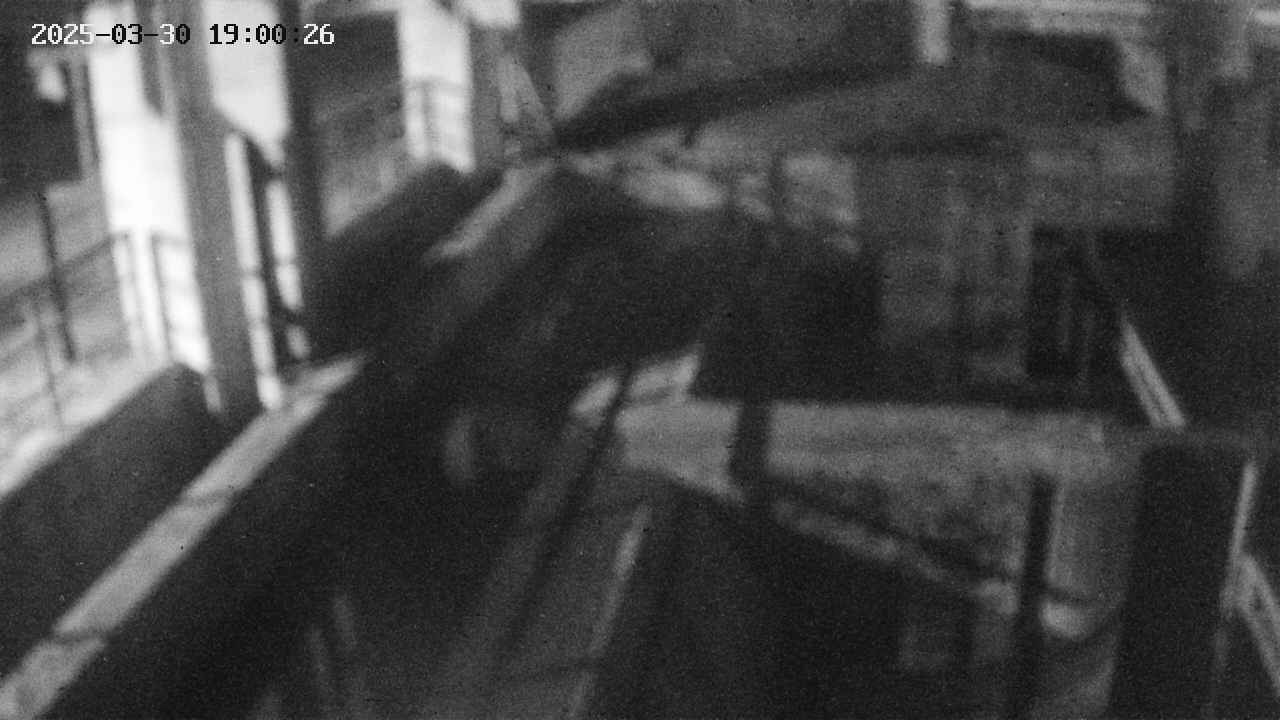 area2-20250330190026.jpg