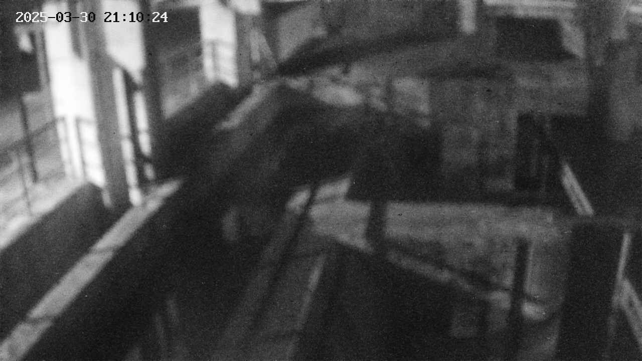 area2-20250330211025.jpg
