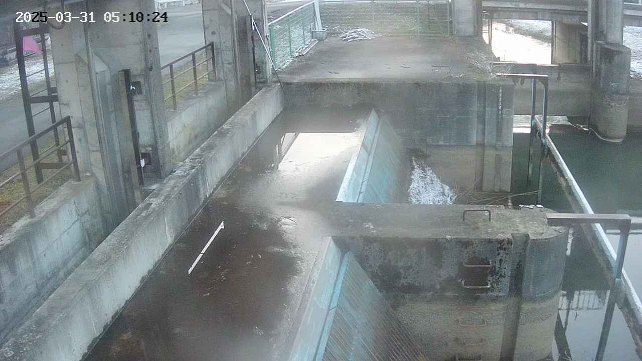 area2-20250331051025.jpg