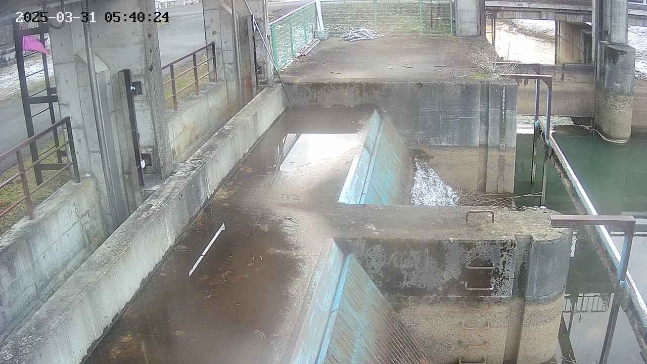 area2-20250331054025.jpg