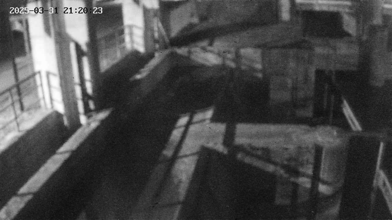 area2-20250331212024.jpg