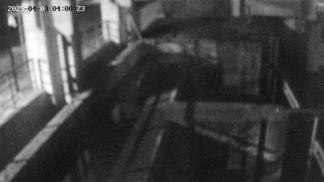 area2-20250403040024.jpg