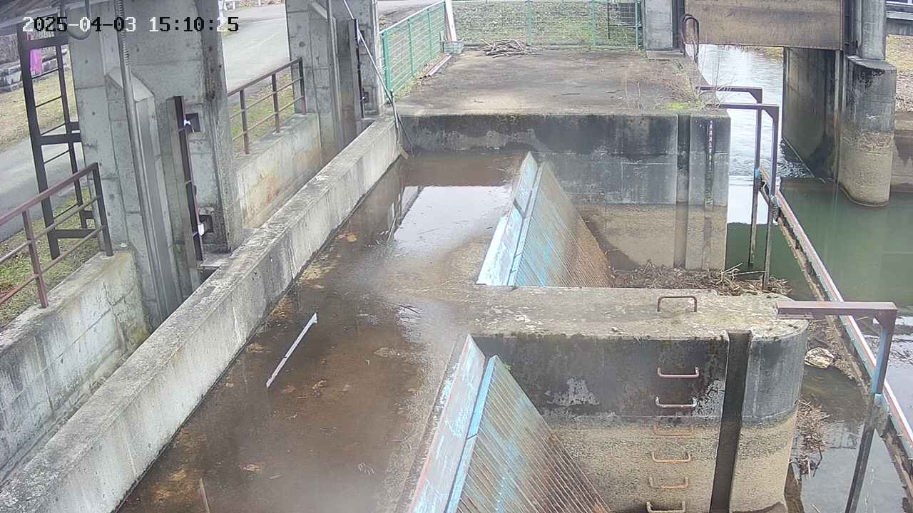 area2-20250403151026.jpg