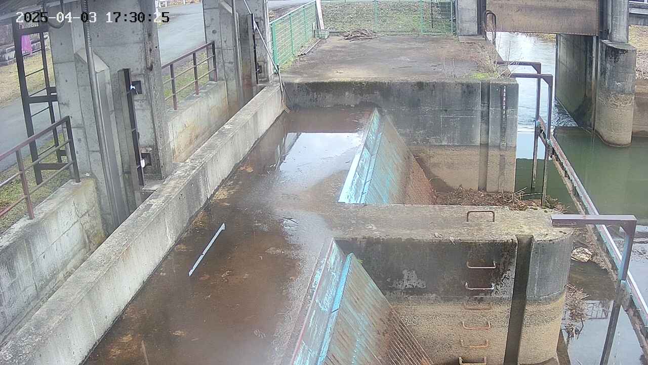 area2-20250403173026.jpg