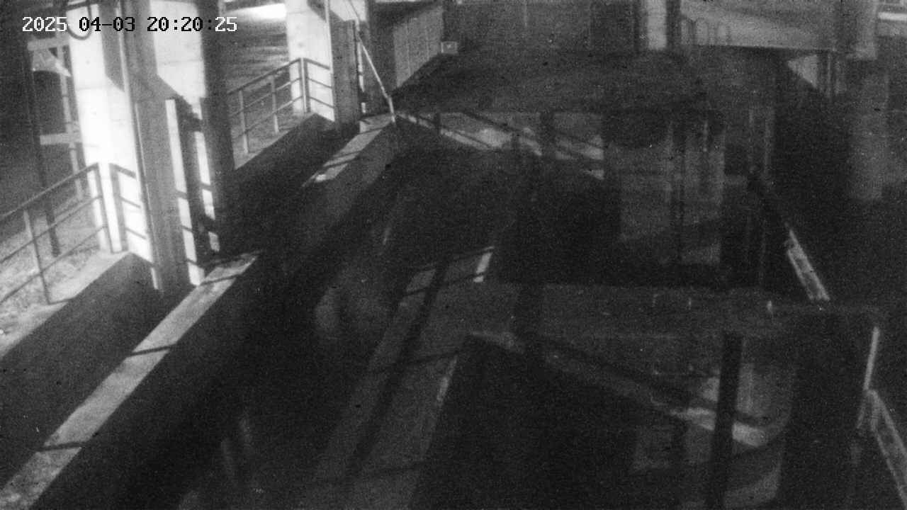 area2-20250403202026.jpg