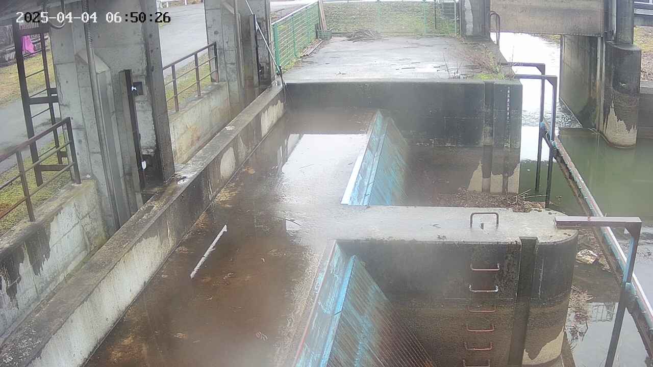 area2-20250404065027.jpg