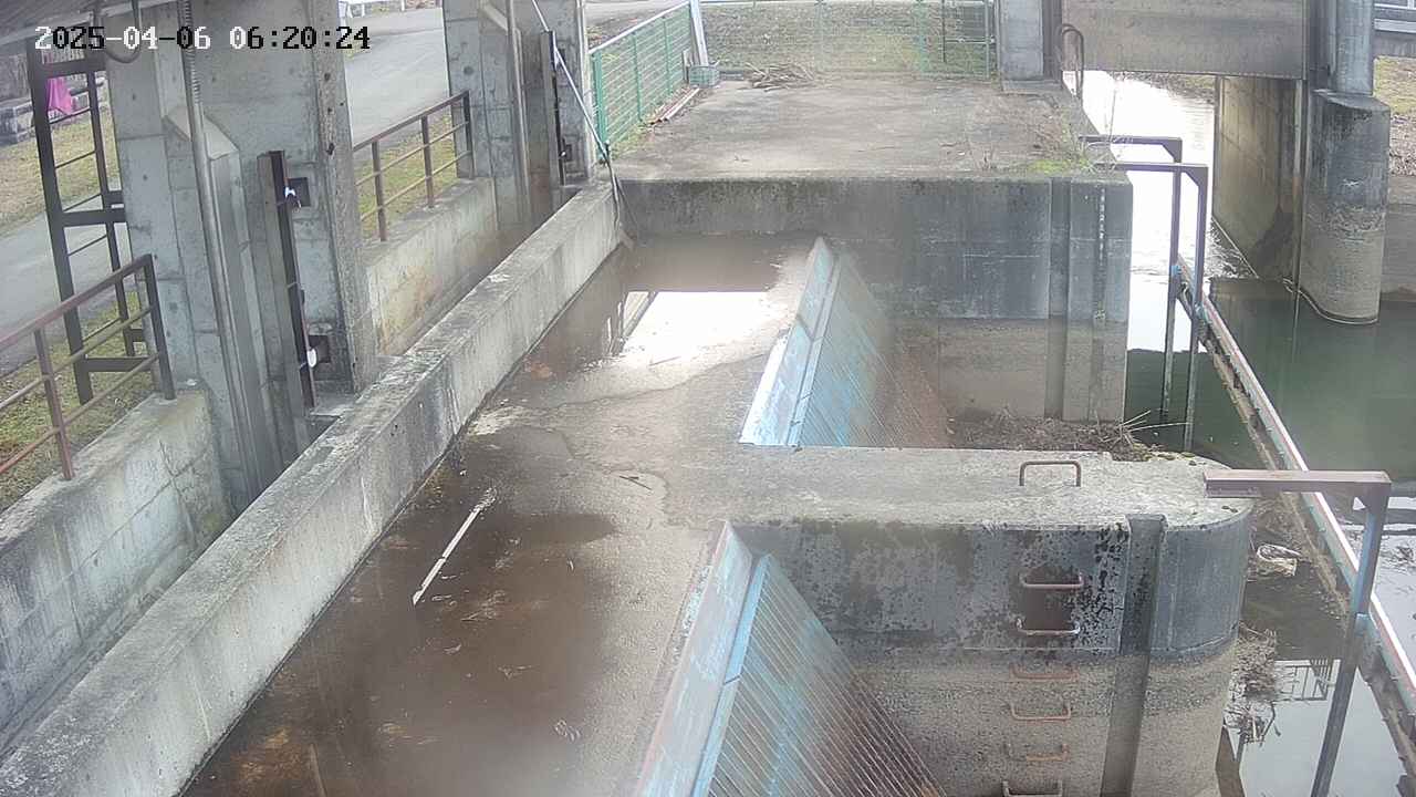 area2-20250406062024.jpg