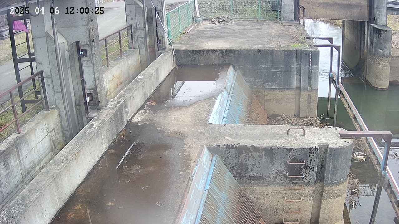 area2-20250406120027.jpg