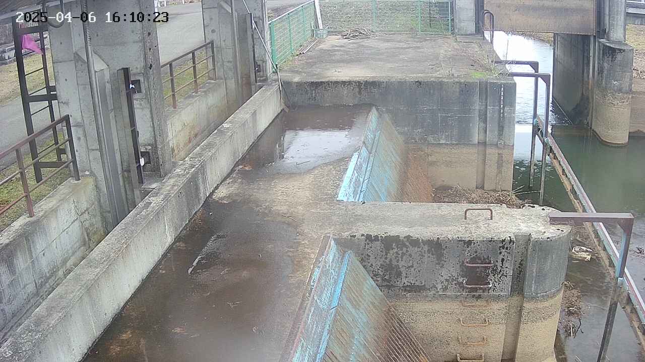area2-20250406161025.jpg