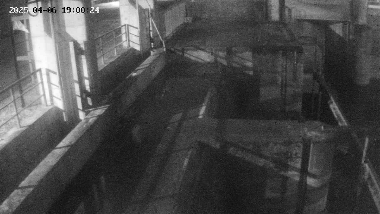 area2-20250406190025.jpg