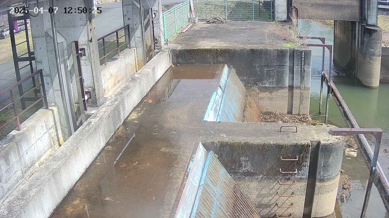 area2-20250407125026.jpg
