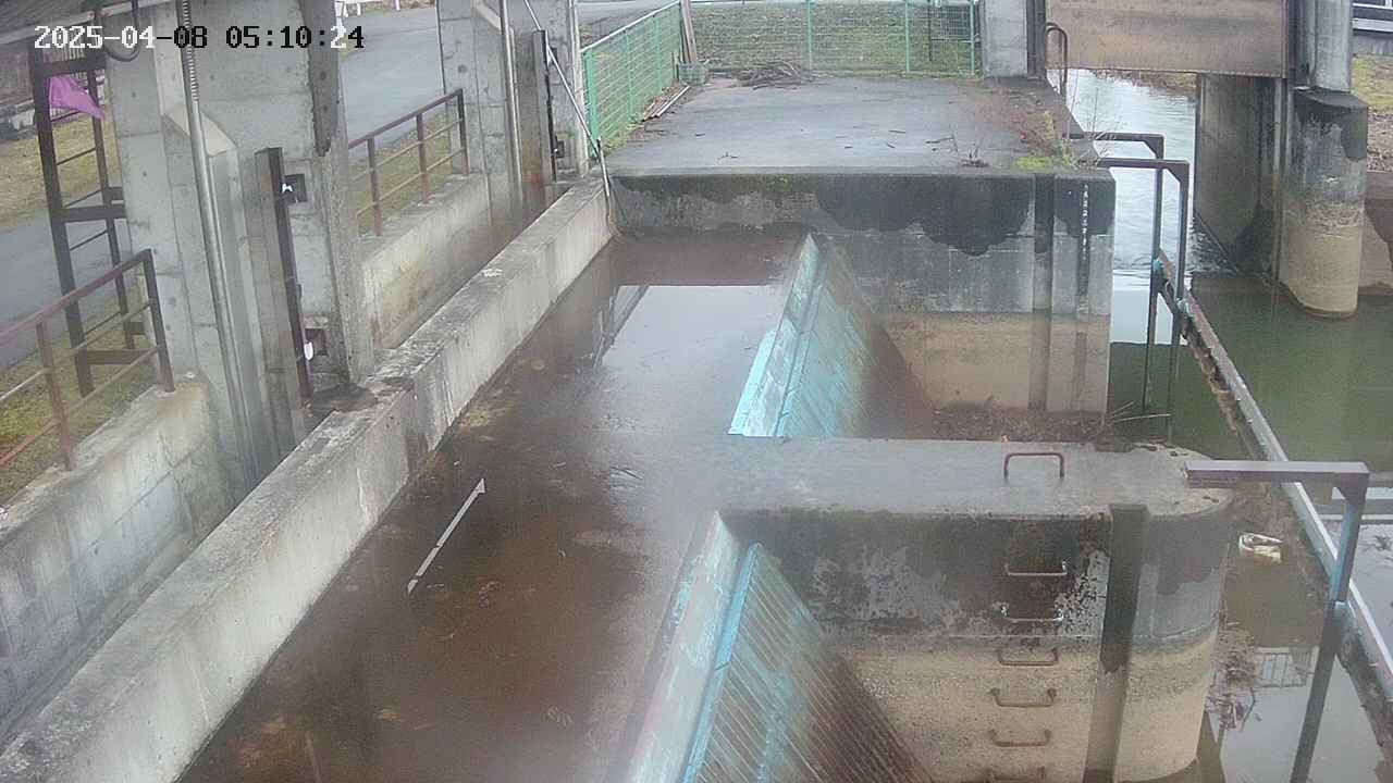area2-20250408051025.jpg