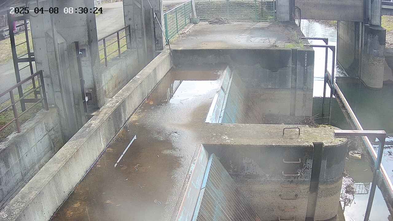 area2-20250408083025.jpg