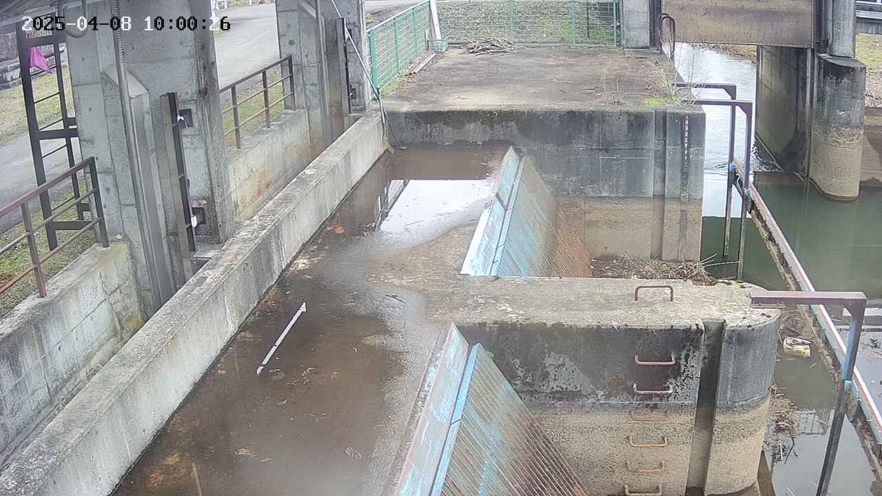 area2-20250408100027.jpg