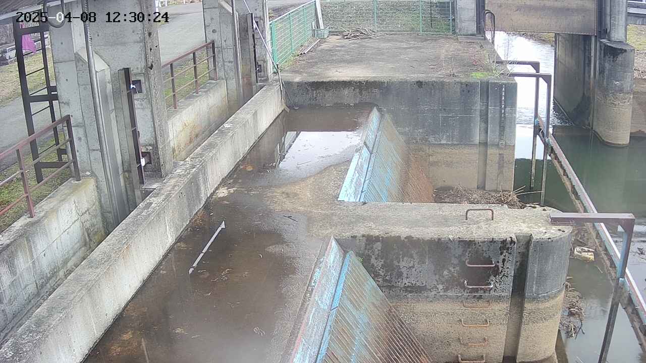 area2-20250408123026.jpg