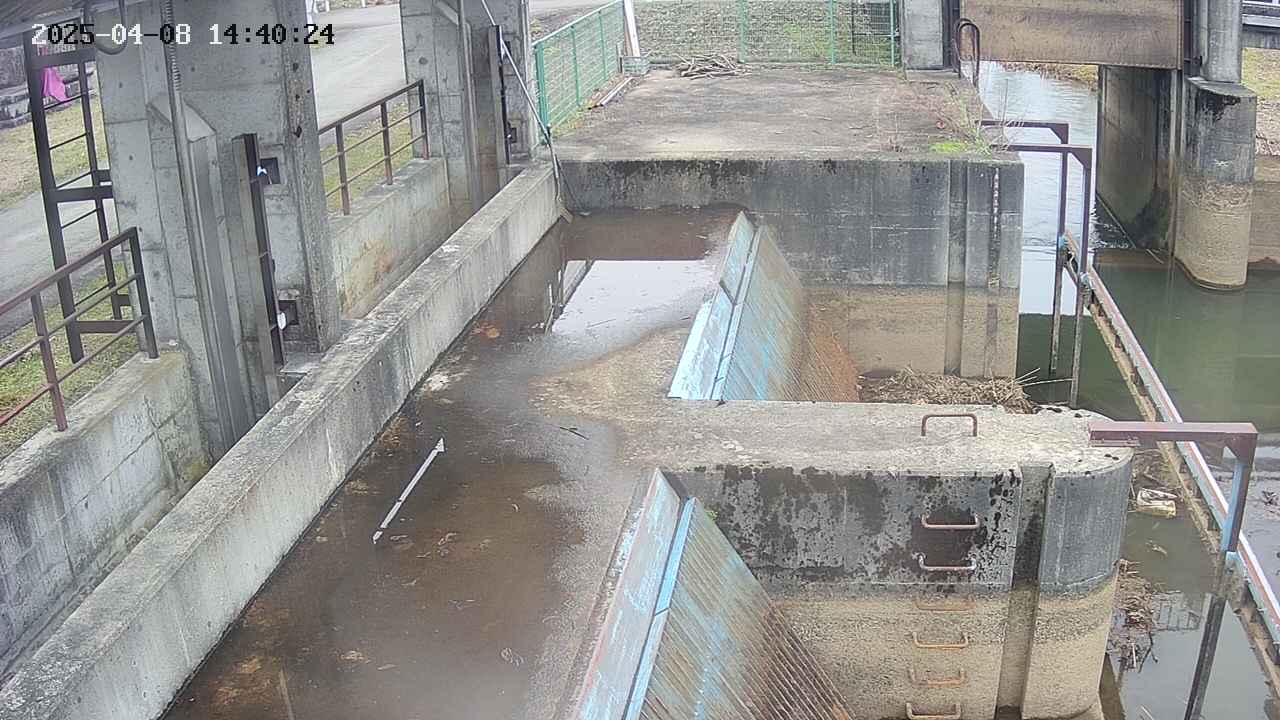 area2-20250408144026.jpg