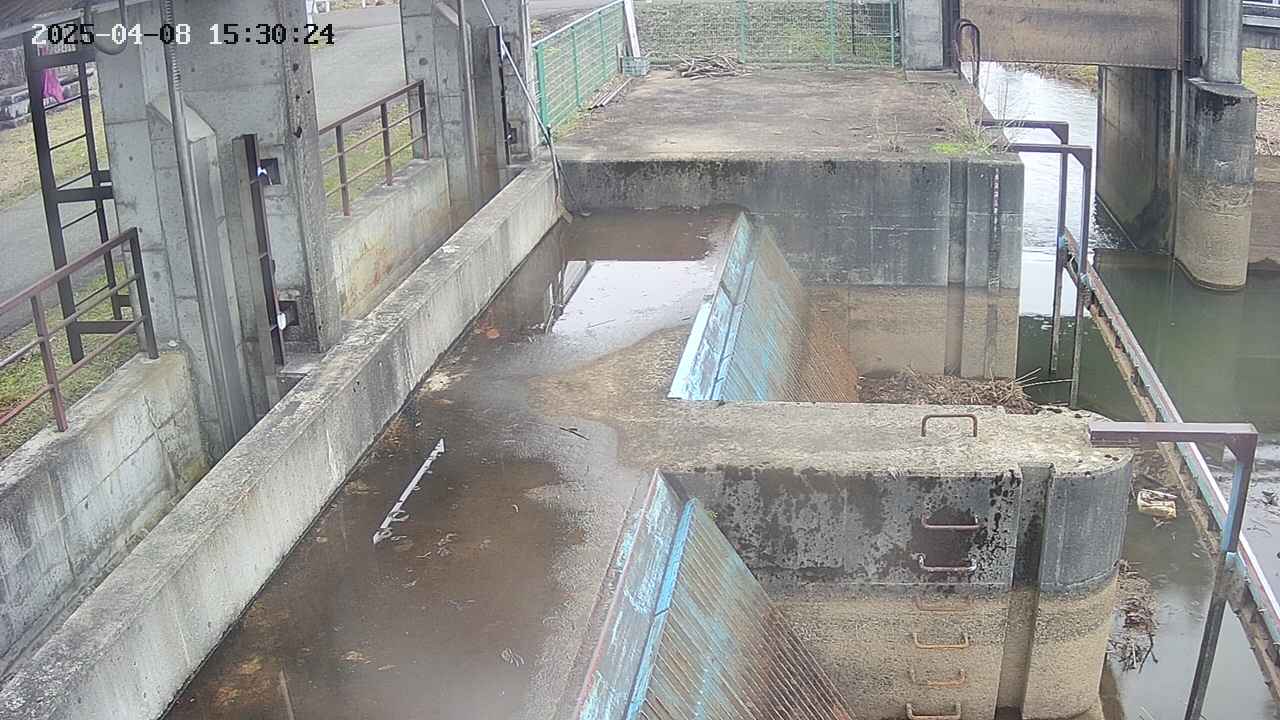 area2-20250408153026.jpg