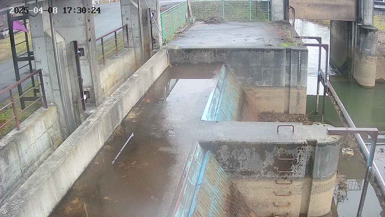 area2-20250408173026.jpg