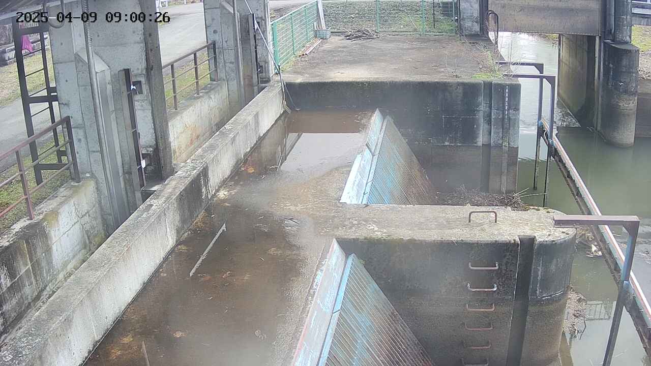 area2-20250409090027.jpg