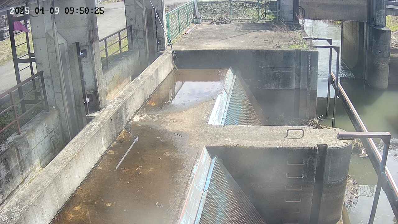 area2-20250409095026.jpg