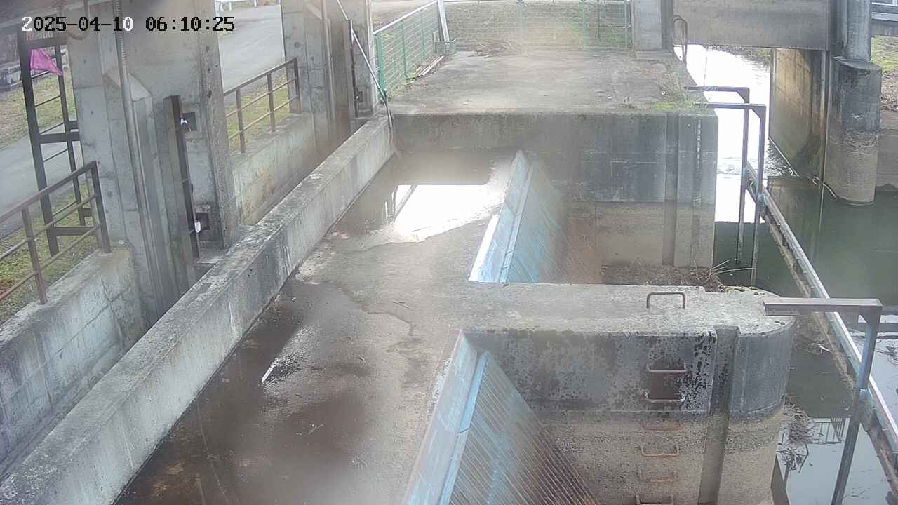 area2-20250410061026.jpg
