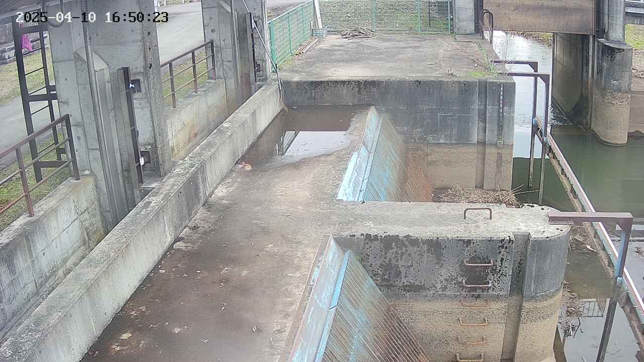 area2-20250410165024.jpg