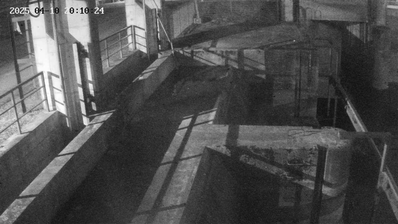 area2-20250410201024.jpg
