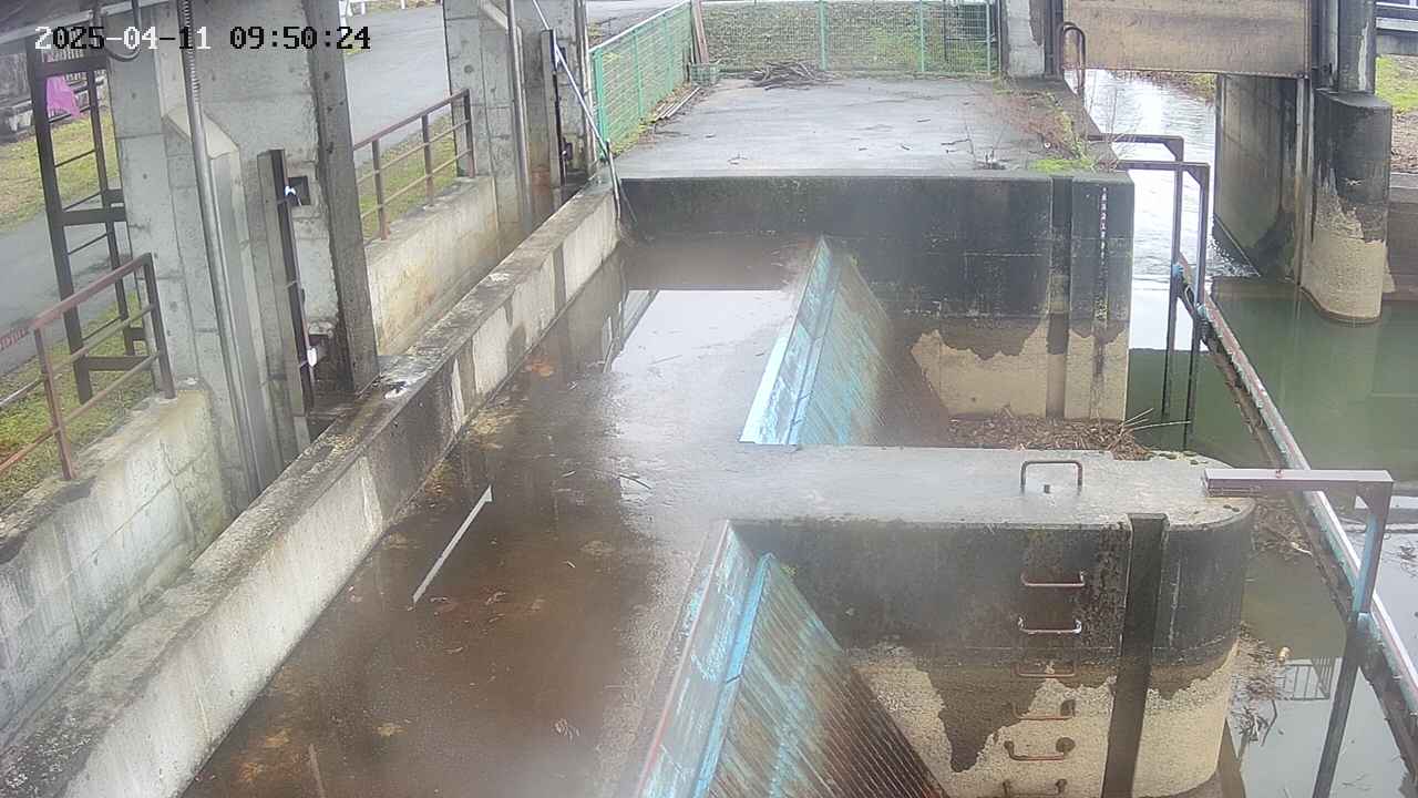 area2-20250411095025.jpg