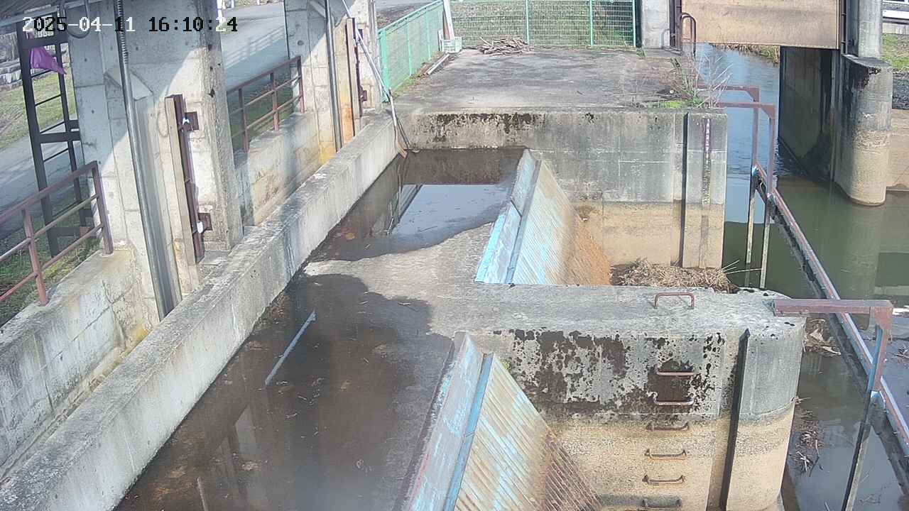 area2-20250411161025.jpg