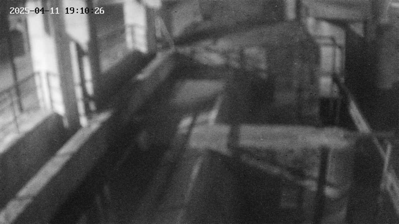 area2-20250411191026.jpg